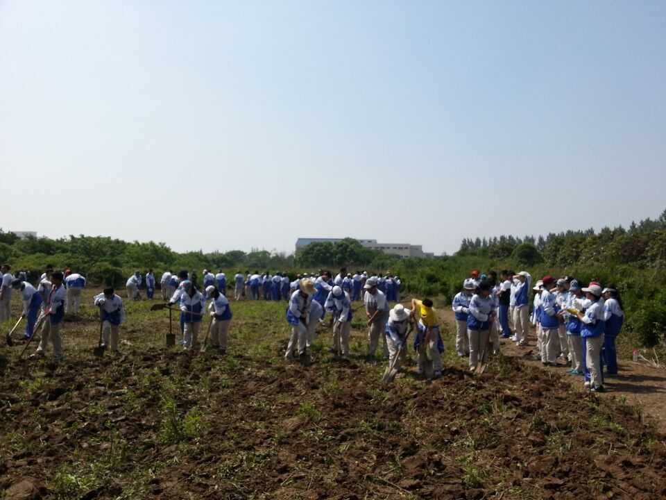 QQ图片20150608085952.jpg