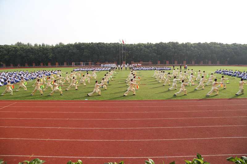 图片12_副本.jpg