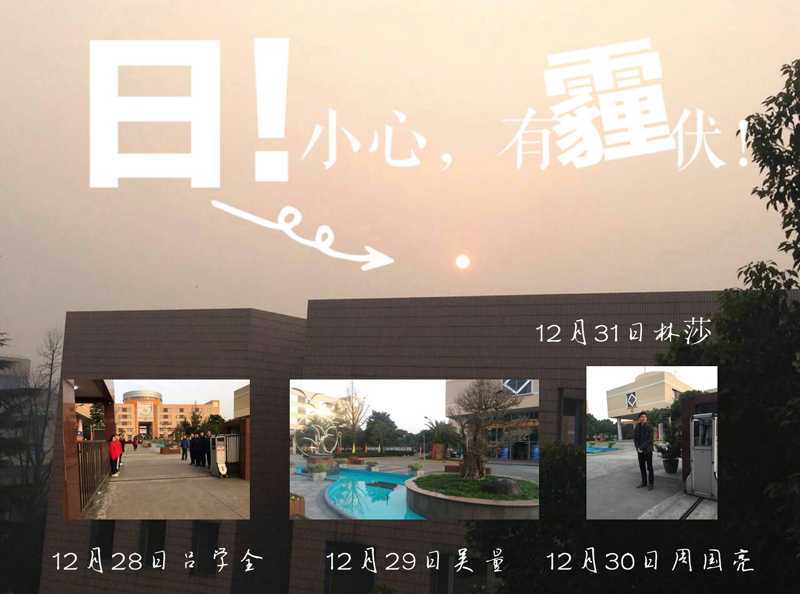 晨曦行动12月28日至31日.jpg