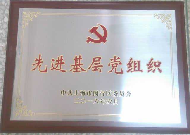 2016.06七宝中学党委----被评为闵行区先进基层党组织(奖牌).jpg