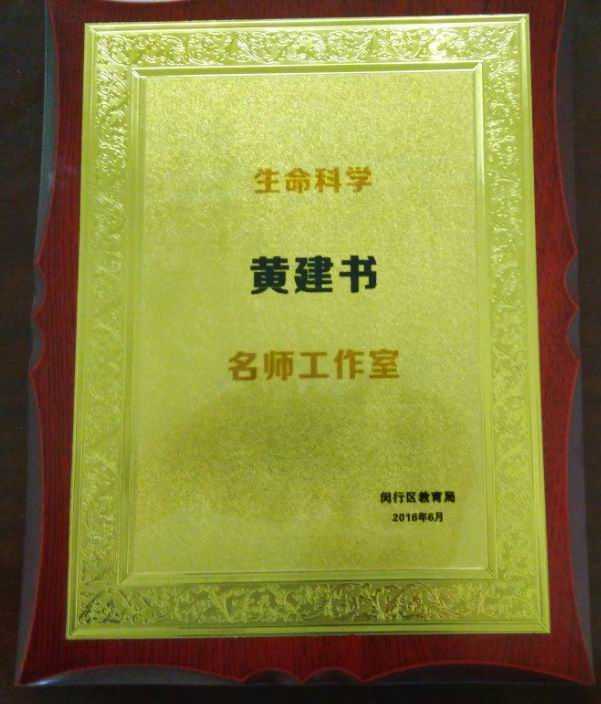 2016.06七宝中学黄建书生命科学闵行区名师工作室.jpg