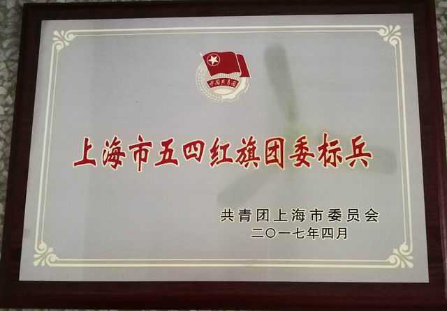 2017.04七宝中学----荣获上海市五四红旗团委标兵(奖牌).jpg