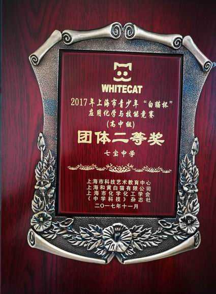2017.11七宝中学----荣获2017年上海市青少年“白猫杯”应用化学与技能竞赛(高中组)团体二等奖(奖牌).jpg