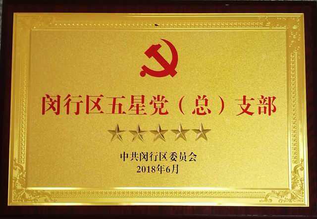 2018.06七宝中学高三支部----荣誉闵行区五星党（总）支部(奖牌).jpg