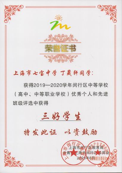 2020.06丁晟轩----荣获2019--2020学年闵行区中等学校三好学生(证书)